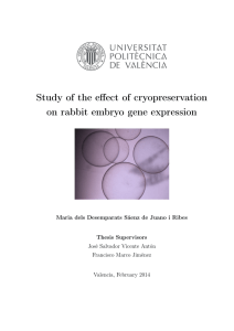 Study of the effect of cryopreservation on rabbit embryo gene