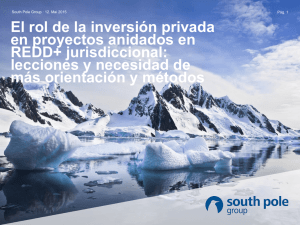 South Pole Carbon Presentación corporativa