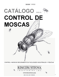 What is biological fly control? - Rincon