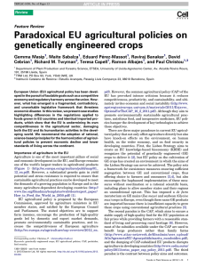 Paradoxical EU agricultural policies on genetically engineered crops