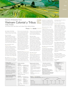 Vietnam Colonial y Tribus