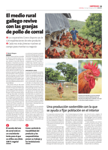 17-08-2014 El medio rural gallego revive con las granjas de