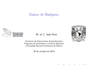 Enlace de halógeno (Isela Ruiz González)
