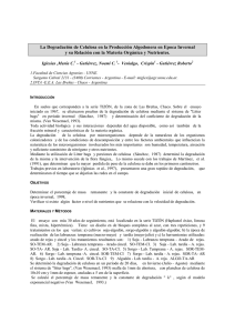 La Degradación de Celulosa en la Producción Algodonera en