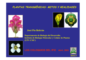 PLANTAS TRANSGÉNICAS: MITOS Y REALIDADES