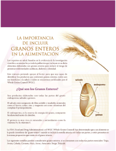 granos - Nutrición Grupo Bimbo