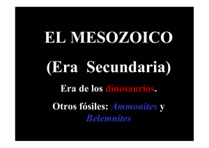 Mesozoico (Era Secundaria) y Cenozoico (Terciaria y Cuaternaria).