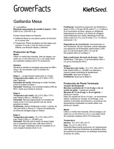 Gaillardia Mesa