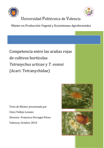 Competencia entre las arañas rojas de cultivos hortícolas Tetrany