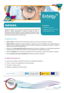 niryara - Entelgy