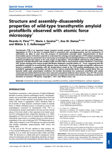 Structure and assembly–disassembly properties of wild‐type