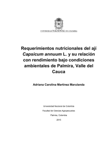 Requerimientos nutricionales del ají Capsicum annuum L. y su