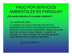 pago por servicios ambientales en paraguay