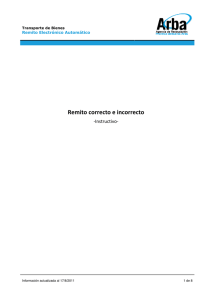 Ejemplo de Remitos Correctos e Incorrectos