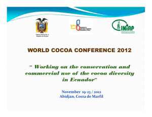 “ Working on the conservation and commercial use of the cocoa