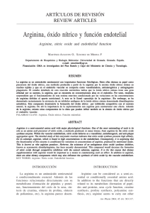 Arginina, óxido nítrico y función endotelial
