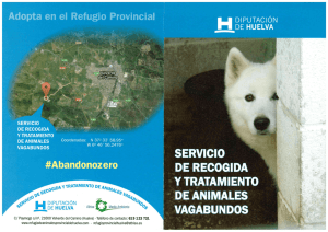 Servicio de Recogida y tratamiento de animales vagabundos. (Ver