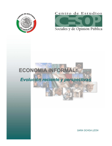 economia informal - Cámara de Diputados