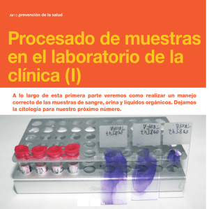 Procesado de muestras en el laboratorio de la clínica (I)