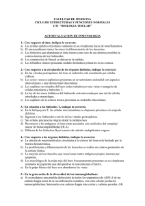 Indique lo correcto sobre lo que espera observar si un ser humano