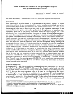 Control of lateral root extension of fast—growing timber species