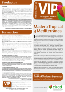 Madera Tropical y Mediterránea