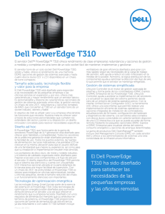 Dell PowerEdge T310