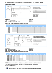 PUNZÓN CAMBIO RÁPIDO. SERIE LIGERA ISO