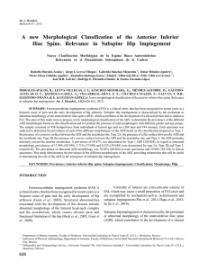 A new Morphological Classification of the Anterior Inferior Iliac Spine