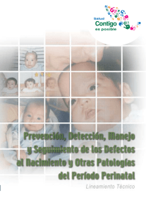 periodo perinatal / lineamiento técnico