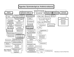 Tema 8: Agentes quimioterápicos antimicrobianos