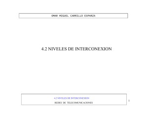 4.2 NIVELES DE INTERCONEXION