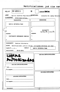 JUZGADO With - Tribunal Constitucional