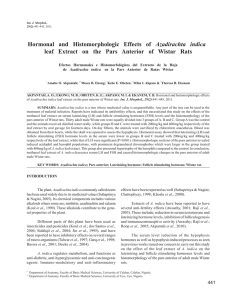 Hormonal and Histomorphologic Effects of Azadirachta indica leaf