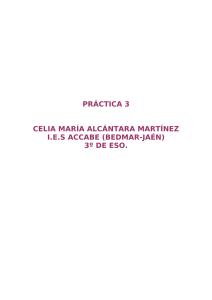 PRÁCTICA 3 CELIA MARÍA ALCÁNTARA MARTÍNEZ I.E.S ACCABE