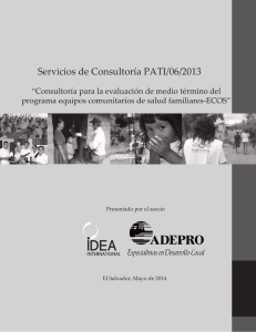 Servicios de Consultoría PATI/06/2013