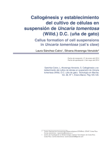 Callogénesis y establecimiento del cultivo de células en suspensión