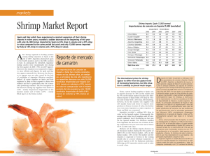 Shrimp Market Report
