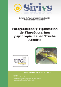 Patogenicidad y Tipificación de Flavobacterium psychrophilum en