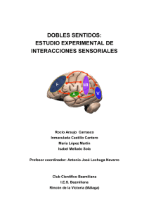 dobles sentidos: estudio experimental de interacciones sensoriales