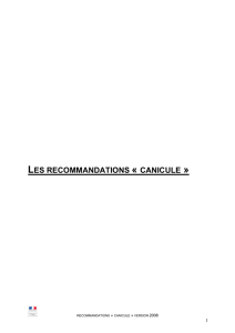 les recommandations « canicule - Ministère des Affaires sociales et