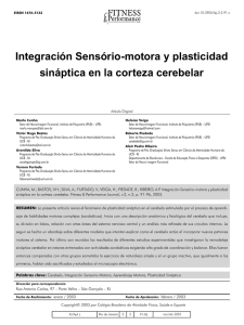 Integración Sensório-motora y plasticidad sináptica en la corteza