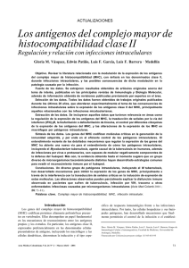 Los antígenos del complejo mayor de histocompatibilidad clase II