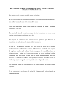 Recomendaciones al alta de pacientes sometidos a prostatectomía