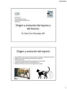Origen y evolución del caballo.