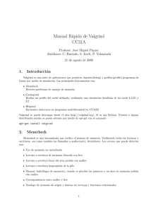 Manual Rápido de Valgrind CC31A