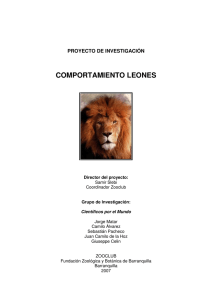 comportamiento leones - Fundación Botánica y Zoológica de