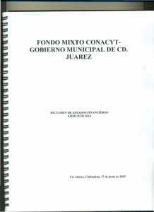 FONDO MIXTO CONACYT- GOBIERNO MUNICIP ALDE CD. JUAREZ