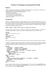 Práctica 2: El lenguaje de programación PL/SQL