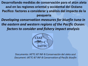 Developing conservation measures for bluefin tuna in the eastern